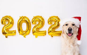 Move to Rhodes, Greece